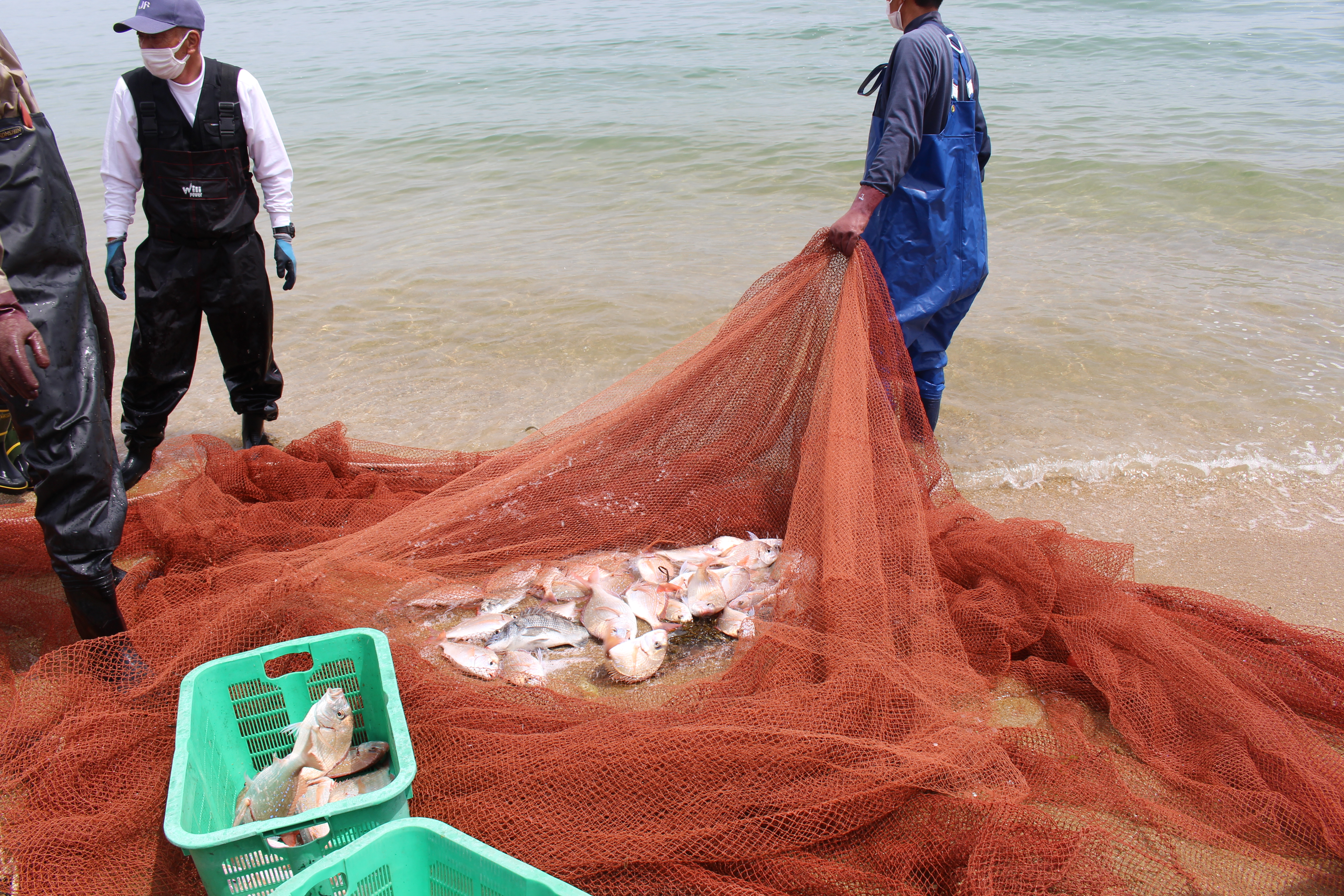 Haiku in English on Sunday488職質をするもされるも着膨れて: リアルETの英語学習