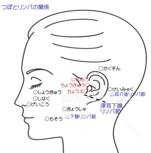 マッサージ予約用】K studio ～耳つぼ・ハーブ蒸し・毛穴吸引～