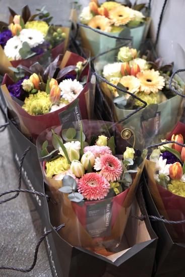 今朝咲いた蓮の一日