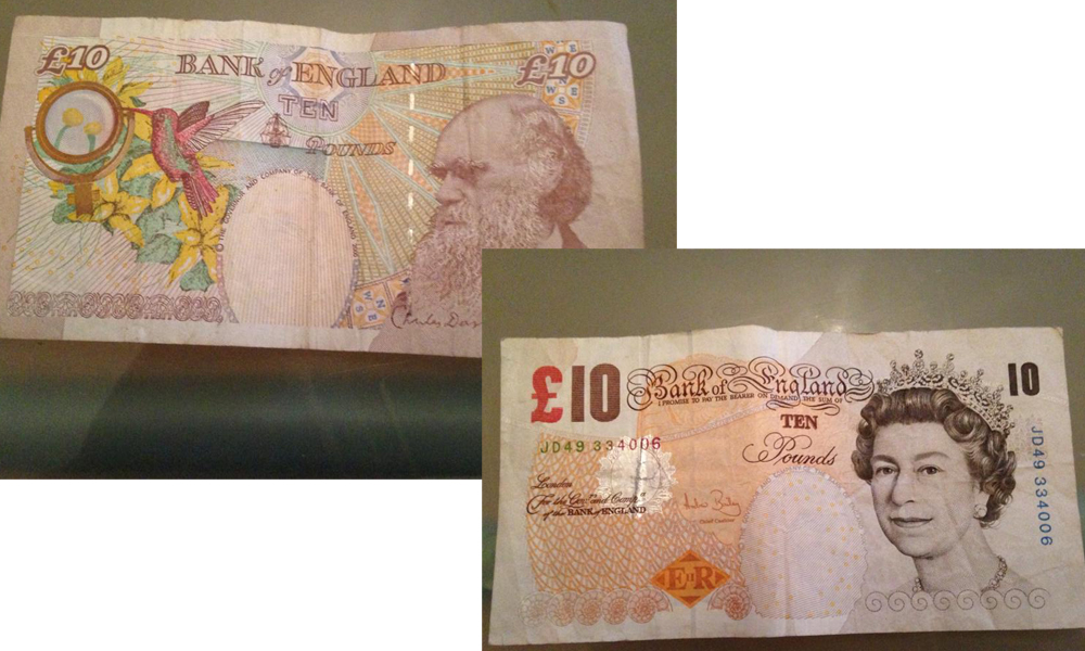 ポンド単位プラス大日本図書