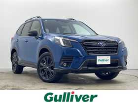 新型クロスカントリー価格TikTok