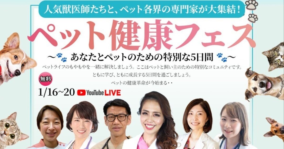 出演者と一緒に観よう！ヤノフェス生配信』に矢野博康、小松シゲル、村田シゲ、南波志帆、眉村ちあきが登場 | SPICE -