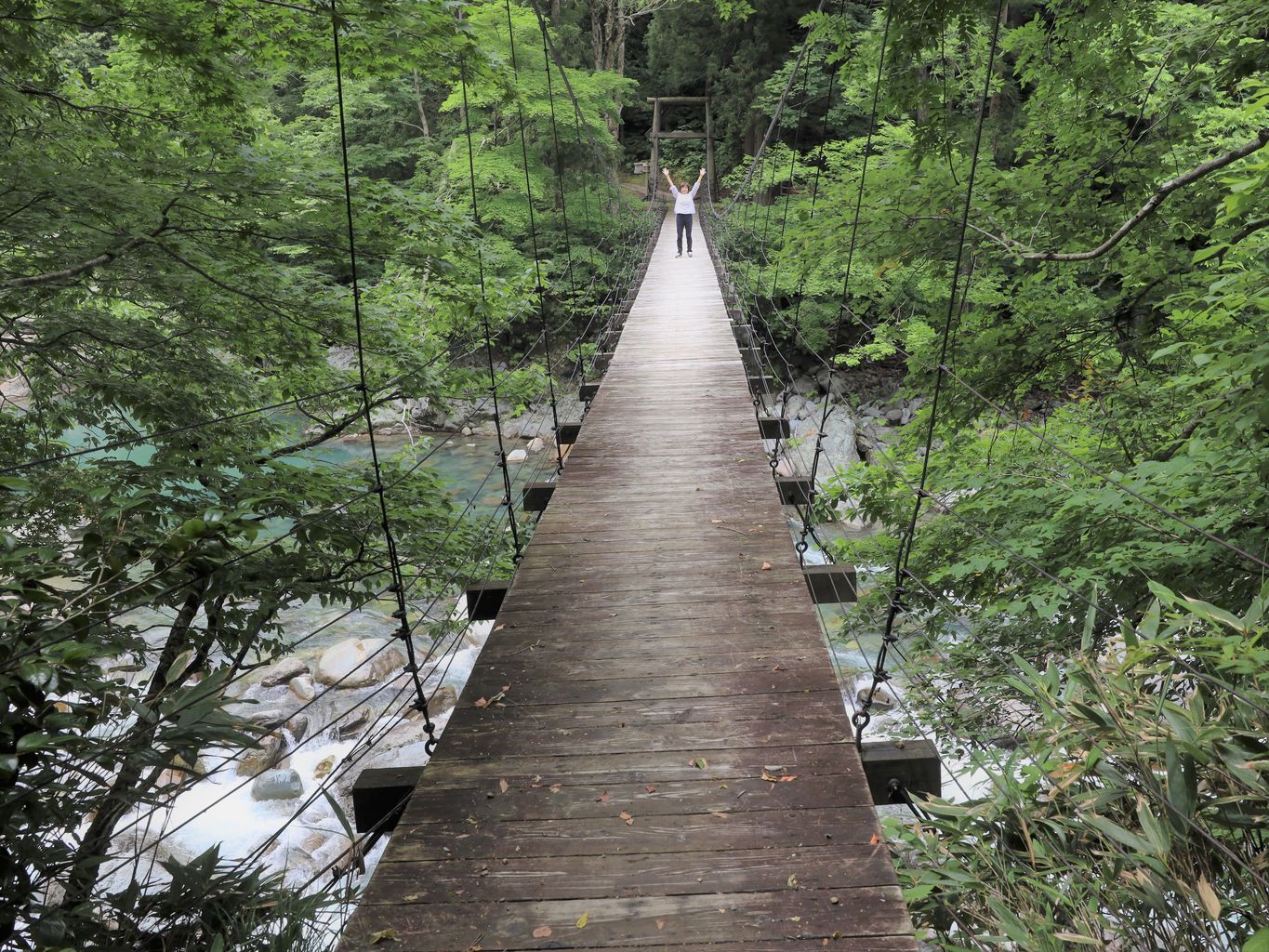 冬の青春18きっぷ：足滝駅のひとり旅ガイド