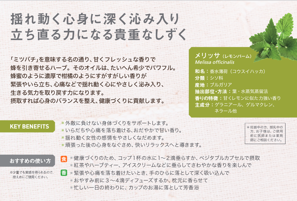 レモンバーム(メリッサ)の効果・効能や花言葉は？収穫や保存方法は？ - HORTI 〜ホルティ〜 by