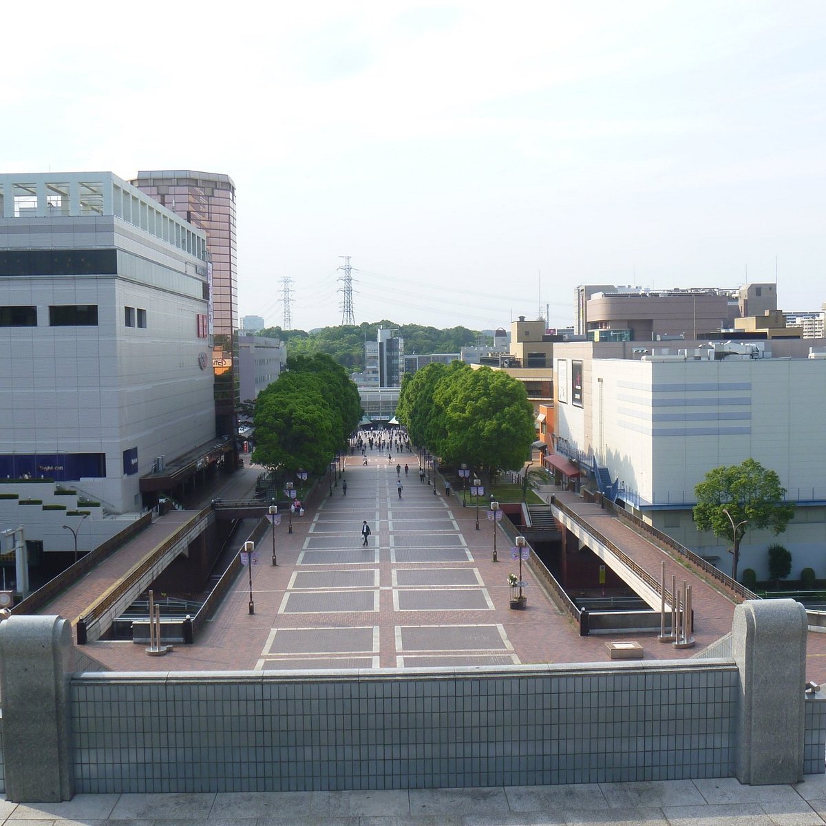 パレスパルテノン(神奈川県川崎市高津区)の賃貸物件建物情報(賃貸マンション)【ハウスコム】