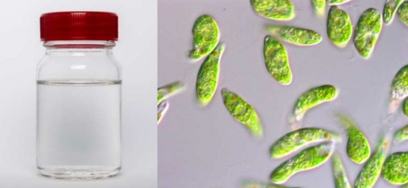 7 5〜6 夏の川俣町へ！“のびのび子育て”と“ほっと安心”を感じる移住体験ツアーかわまた暮らし - 川俣町 移住・定住ポータルサイト