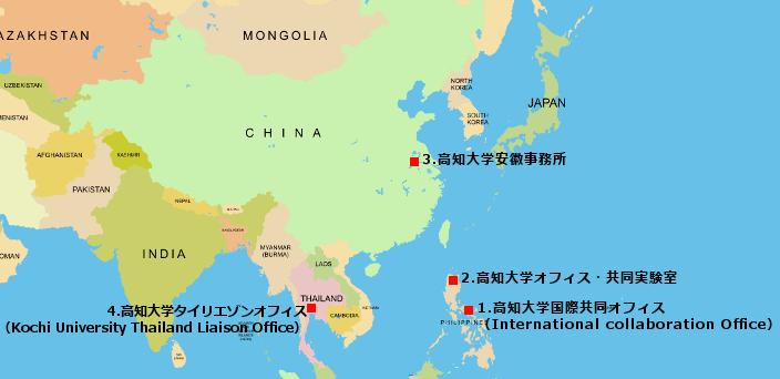 海外オフィスのデザイン事例！日本オフィスとの比較調査！オフィスデザインから内装工事までワンストップで対応 TRUSTオフィス