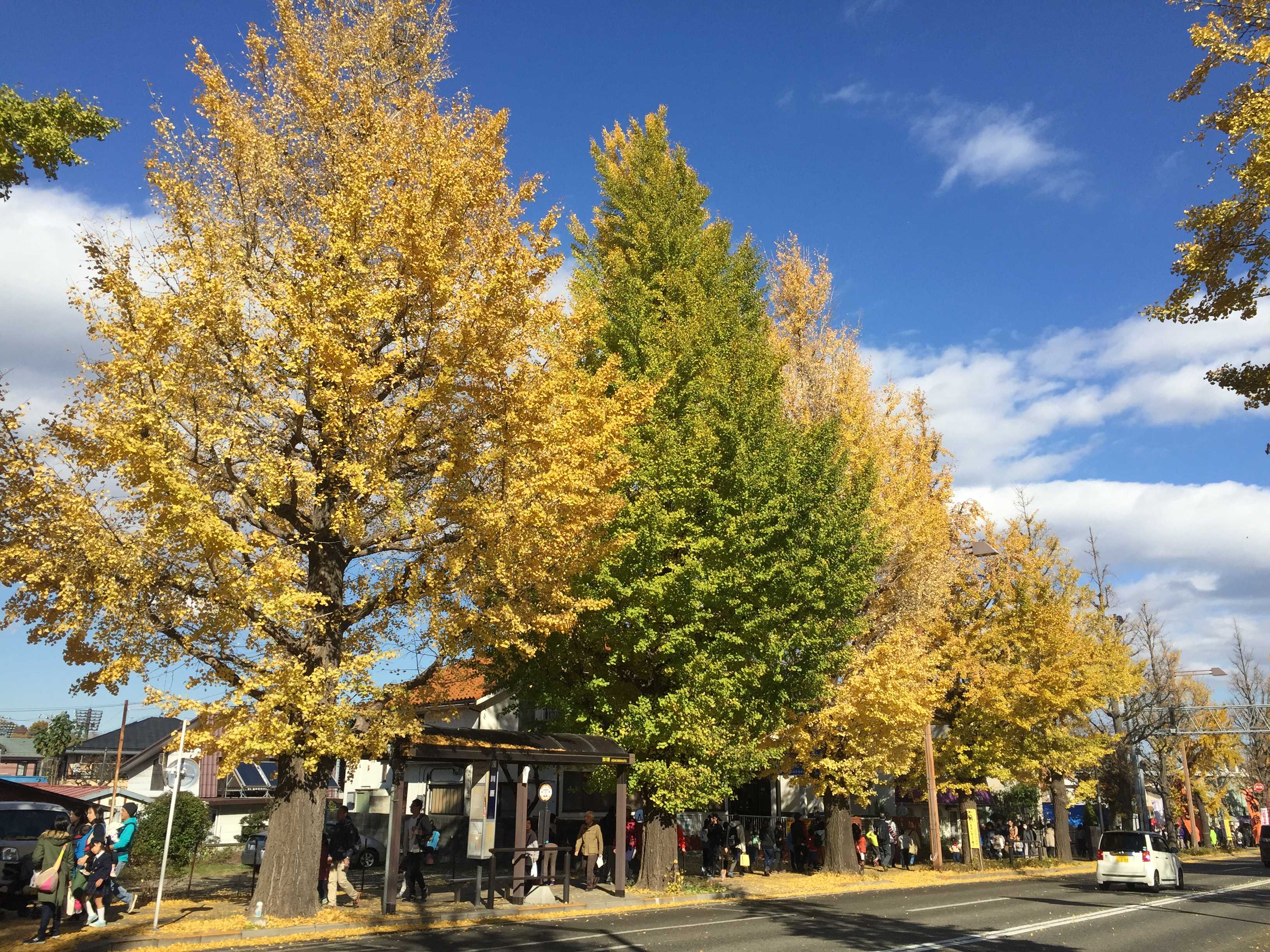 豊田市】9月24日にオープン♪ 串揚げ・おばんざいのお店「串カツロメオ」さんで、ランチを堪能してきました！ | 号外NET 豊田市