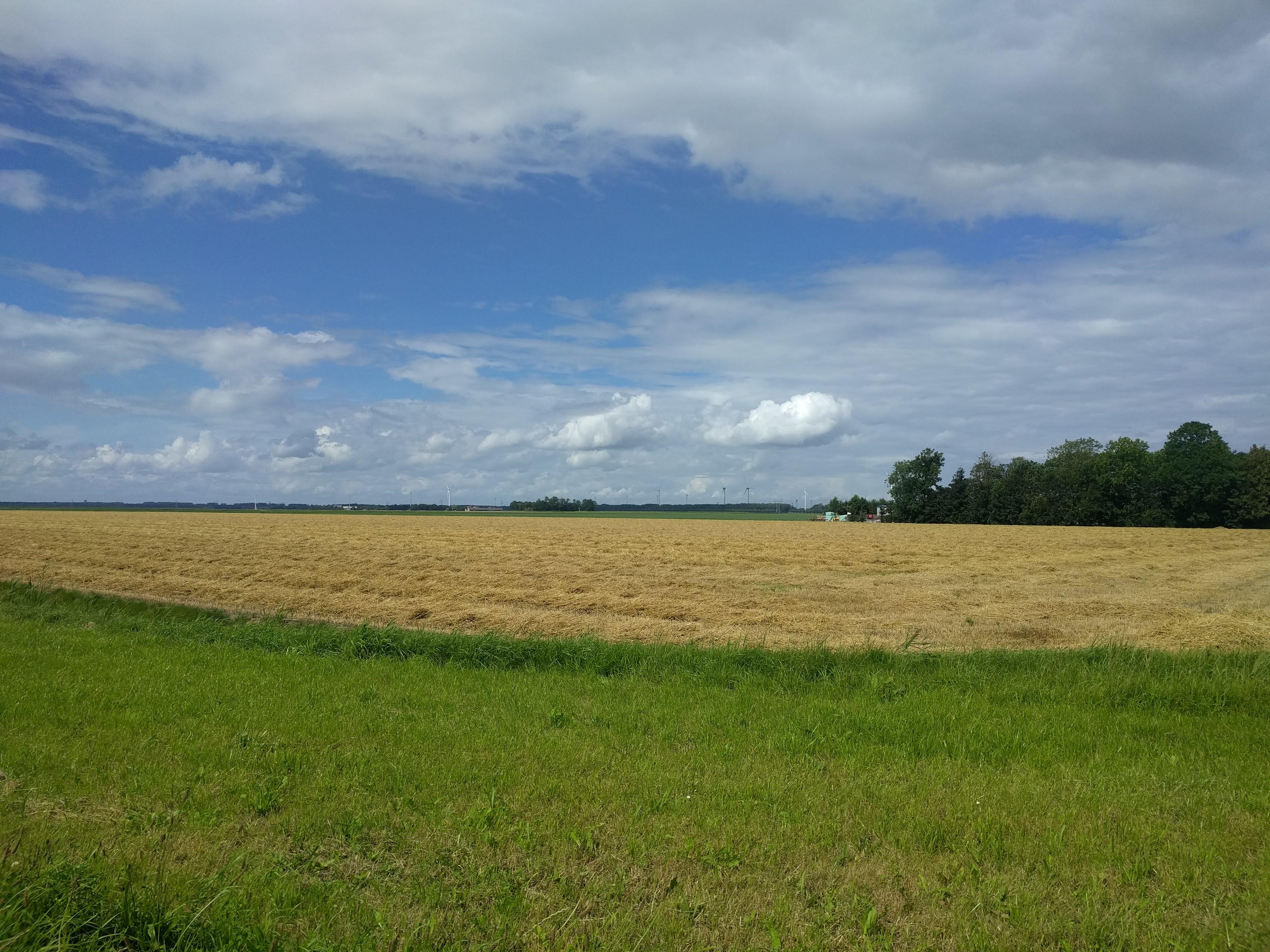 2,414 干拓地 Stock Photos, High-Res Pictures, and Images - Getty Images