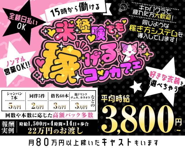 秋葉原・あるこほりっく ポケパラ