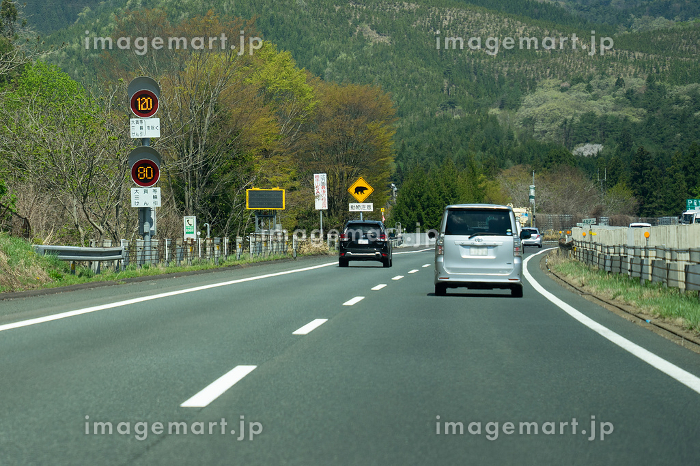 法定速度 - Wikipedia