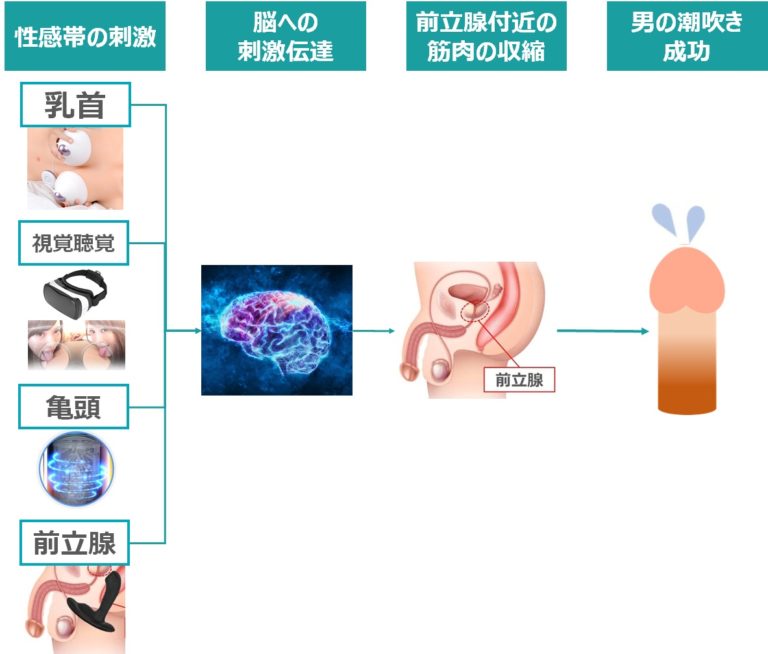 チンコがバカになるほど気持ちいい！「男の潮吹き」のやり方を教えます