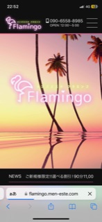 大阪,日本橋,メンズエステ,メンエス,オイルマッサージ | Flamingo(フラミンゴ)