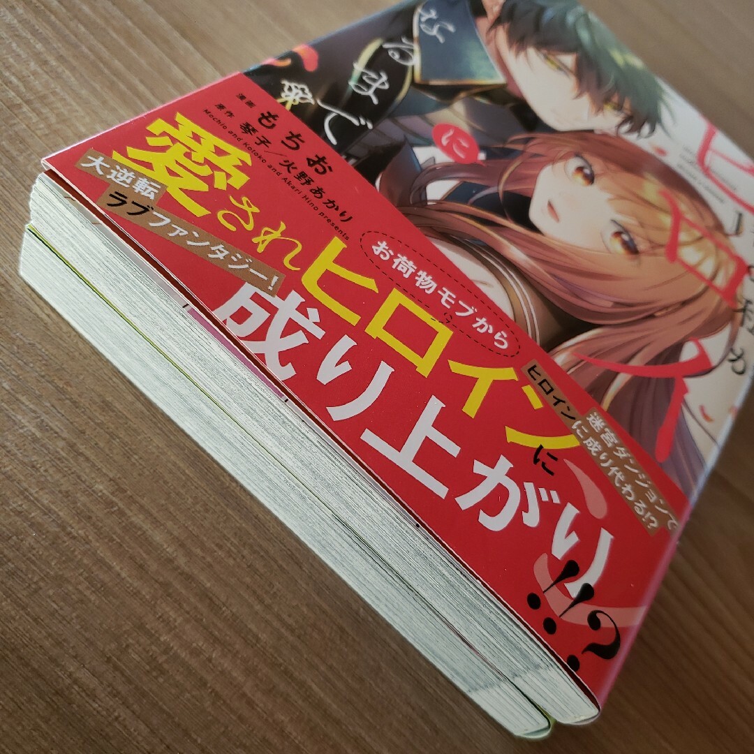 俺はヒロインになれません サノアサヒ アニメイトリーフレット ペーパー