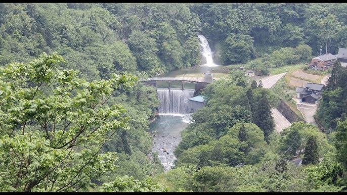 立山・黒部アルペンルートに行きたい①（子連れ） 初日は富山から！新湊きっときと市場でカニを♡ 雨晴海岸で立山連峰は見えるのか・・・！？