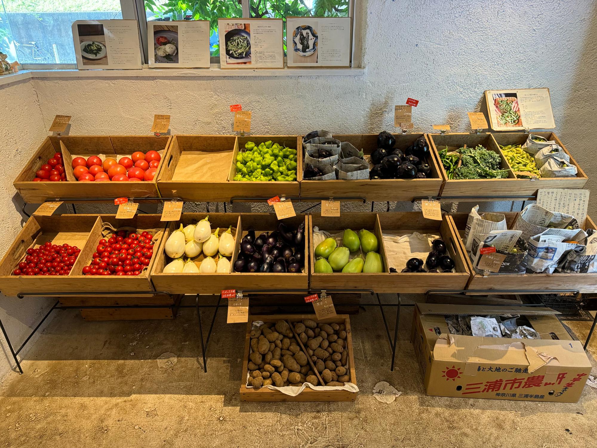 野菜だけで満たされるランチとアイス青果ミコト屋で感じた“食べる幸せ”牧めぐみ はなまきケイ神奈川の取材ライタ