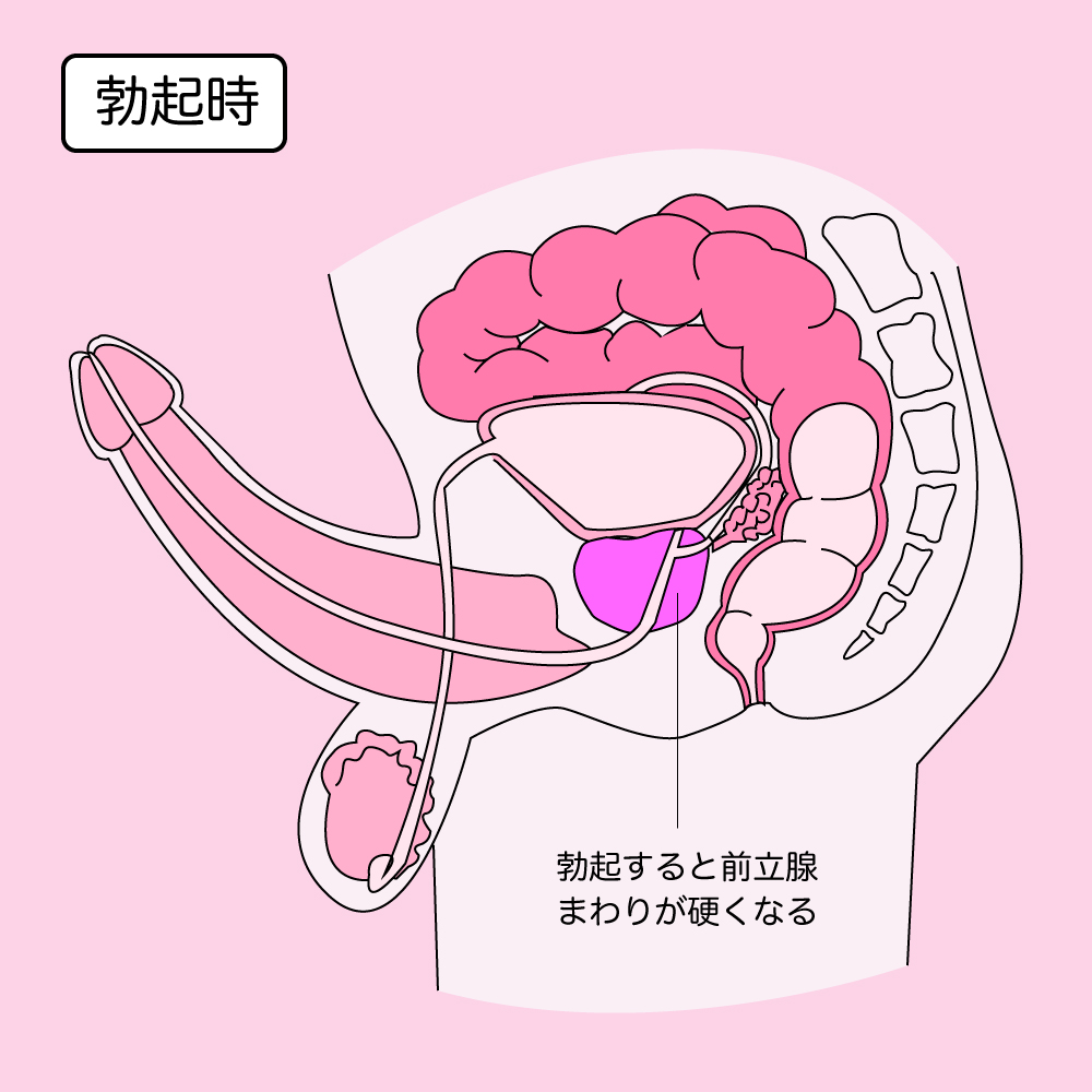 吊り橋3-1 | 【漫画】♂♂ゲイです、ほぼ夫婦です