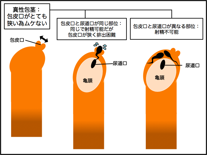 ワンピース えろ 動画 :