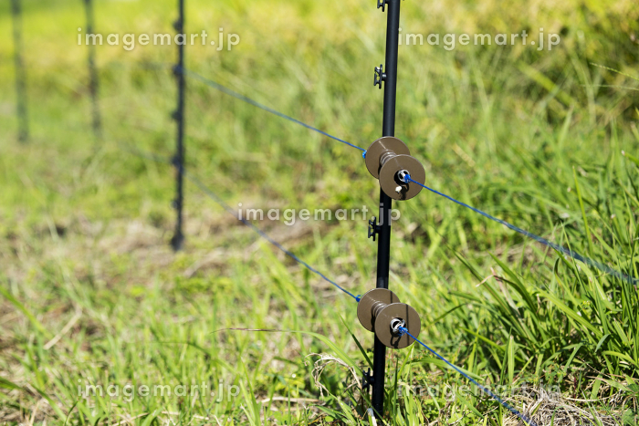 電気柵 22502003956 の写真・イラスト素材アマナイメージズ