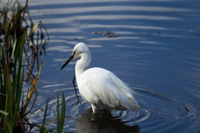 注文前の質問」でファイル添付がご利用できるようになりました - お知らせ - Yahoo!ショッピング