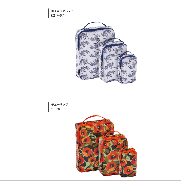 XMから出金したときの話kattera