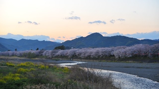 1日楽しめる 「おれっぷ大久保」エリア｜ふじえだ東海道まちあるき