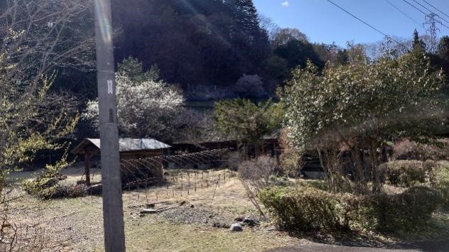 新潟のハイエンド体験をしよう