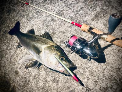 らすたひたすら - 楽天ブログ