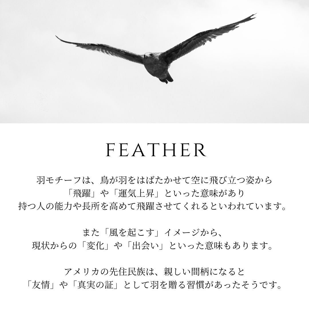鷹」と「鷲」と「鳶」と「隼」の違いとは？大きさでの見分け方を解説 – スッキリ