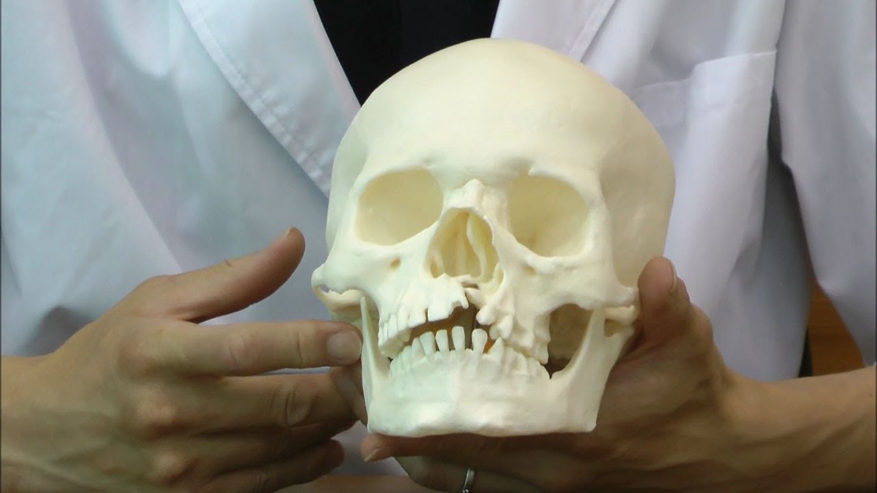 ジャッキー・ケネディはなぜ死ぬ前に個人的な手紙や写真をひっそりと燃やしたのでしょうか