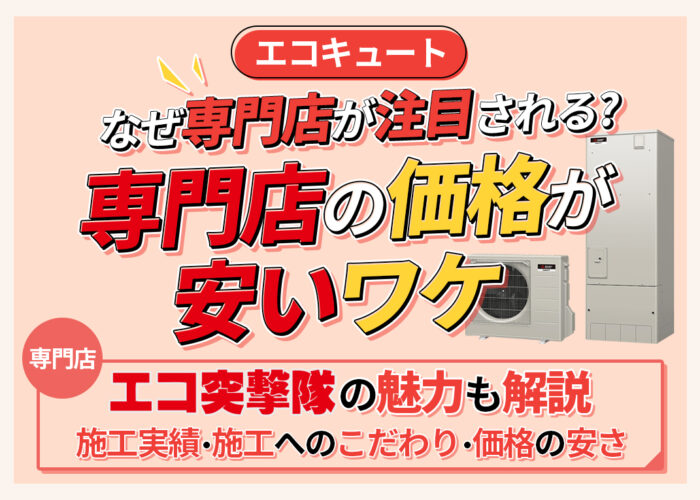 家電量販店 - Wikipedia