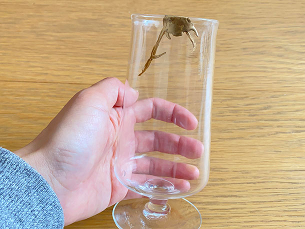 壊れたカップやお皿をリメイクしたら“驚きの大変身”に「ゴミを芸術作品に変える職人」「やってみたい」 海外1 2カルチャー・アートねとらぼ