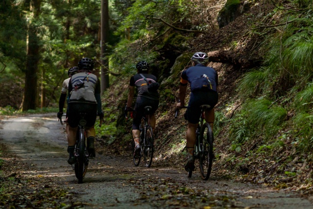 コラム ：過失割合について 自転車と四輪車・単車との事故故 ８．転回車と直進車との事故交通事故業務を中心に取り扱う弁護士｢弁護士法人しまかぜ法律事務所｣
