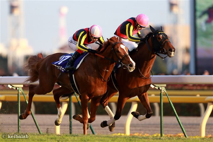 オルフェーヴル - Wikipedia