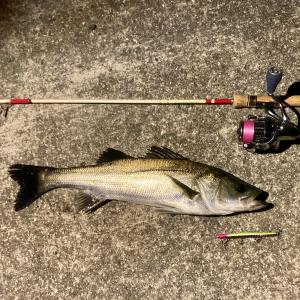 らすたひたすら - 楽天ブログ