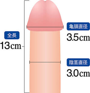 ペニスの大きさ平均は13cm！女性の理想サイズはさらにデカい！？｜薬の通販オンライン