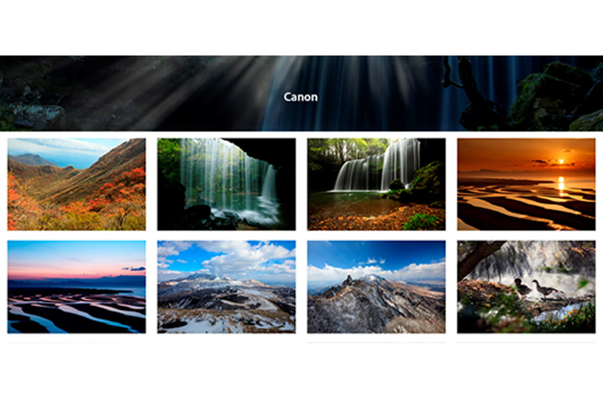 Adobe Stockの料金を解説：最安の定額利用・追加割引き・単品購入スクリプちん