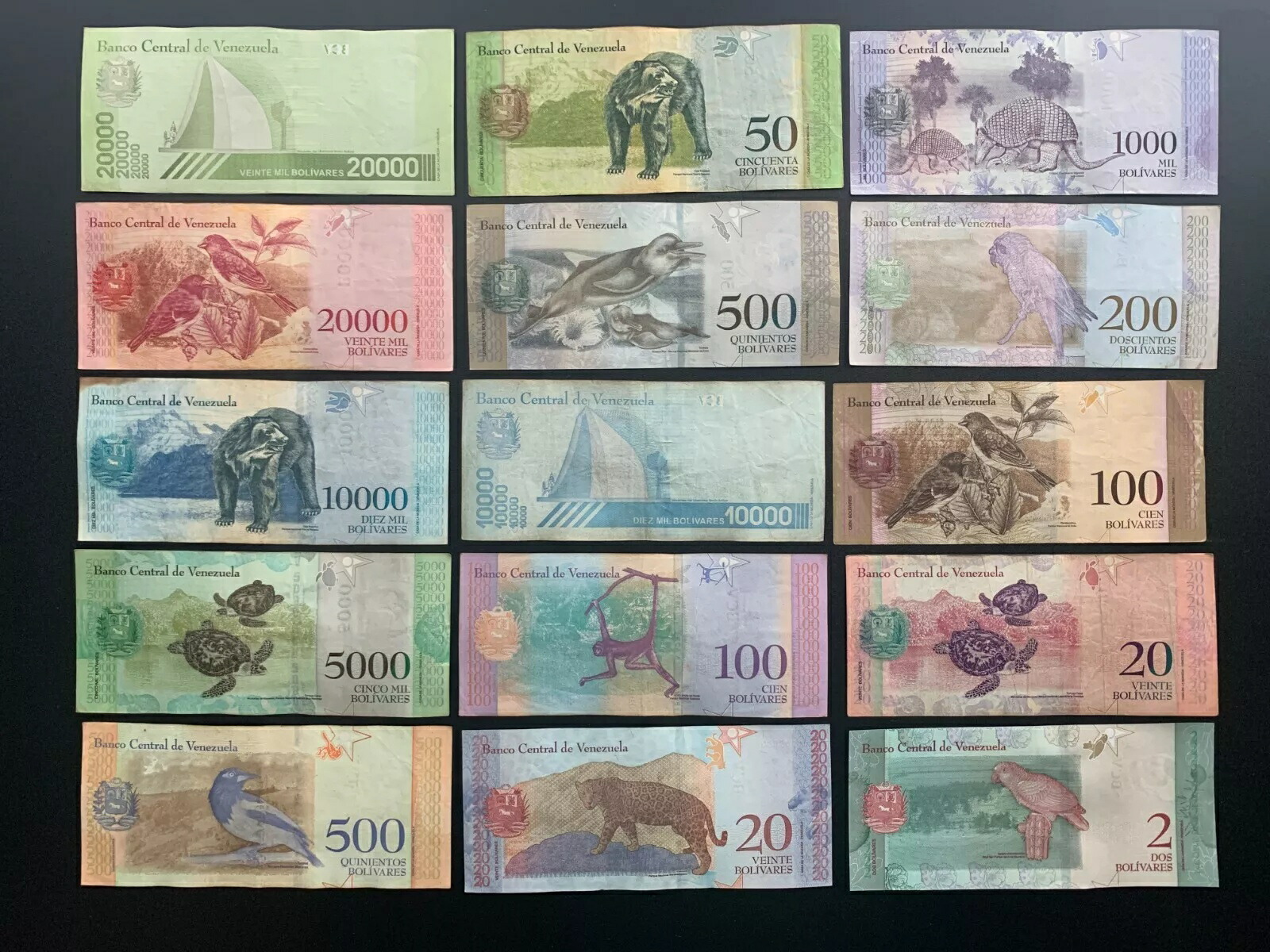 ５億紙幣未使用 ベネズエラボリバル 5億ボリバル ベネズエラ 紙幣 ベネズエラ 通貨 ベネズエラ紙幣 1枚 3枚 5枚 最高額 最新紙幣 鑑定済新札 品質保証書付 本物紙幣の保証 楽天市場5000万紙幣未使用 ベネズエラ ボリバル 5000万ボリバル ベネズエラ