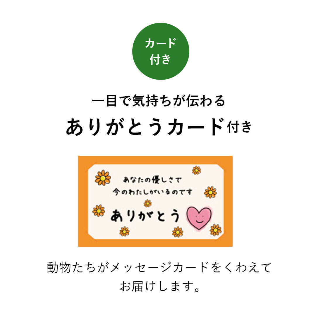退職する側から一言メッセージカードを書くなら？同僚、上司向けの例文を紹介 - きっかけブログ