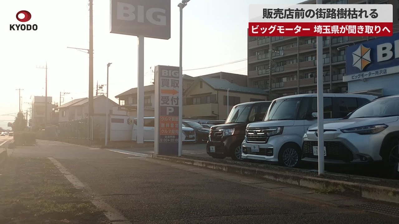 ビッグモーター販売店前の街路樹枯れる 埼玉県が確認、聞き取りへ - 産経ニュース