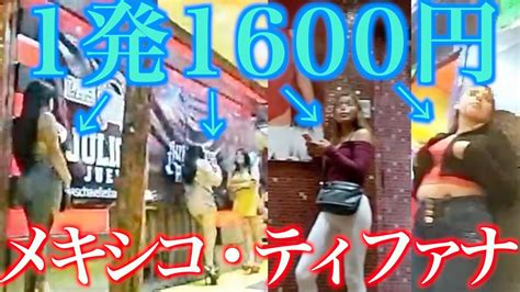 ポケモン化石博物館を盛り上げてくれるお店募集！ | 市議会議員でシングルファーザー、かんちゃんの市政も子育ても真っ向勝負 豊橋市議会議員