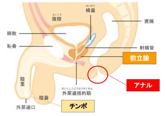 プレイバック⑰ ところてん方式 : 笑う母には福来る