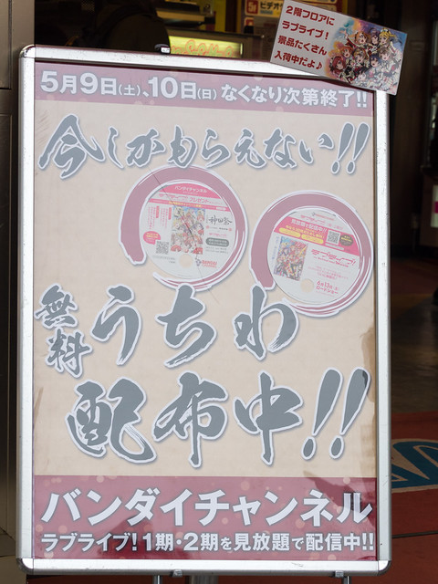 終了今だけ特典 シェーン英会話の留学前レッスンが無料で受けられるISS留学ライフZ会グループの留学エージェント 10万人以上のサポート実績