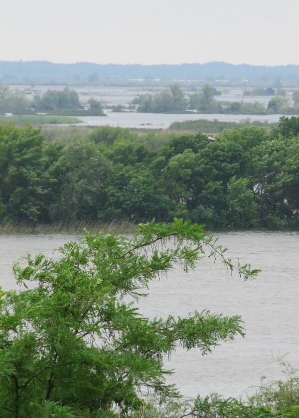 フーバーダム - Wikipedia