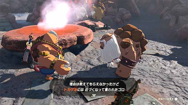 ひつじの休日～ゼルダの伝説 ティアーズ オブ ザ キングダム 中央ハイラル 監視砦の鳥望台 ～