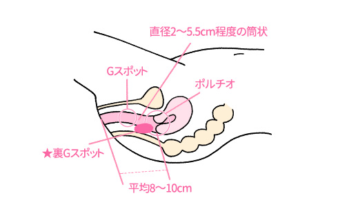 相手に〇〇は見せない！彼に気持ちよくなってもらうSEX㊙テク♡ | ViVi