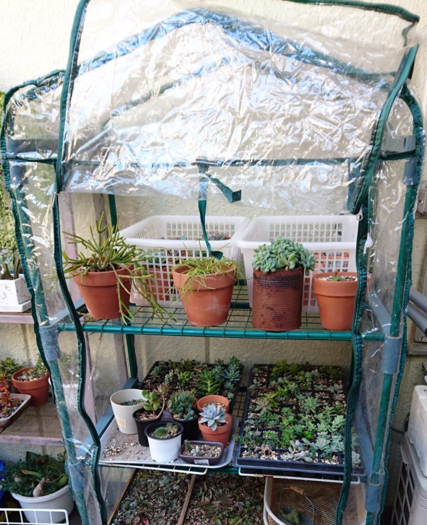 メダカ飼育に使える、簡単に自作できるビニールハウス「5選」ひろしゃんのメダカブログ メダカの果てまでイッテQ