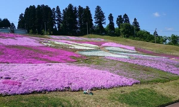 シャトー赤坂's 旧ＨＰ