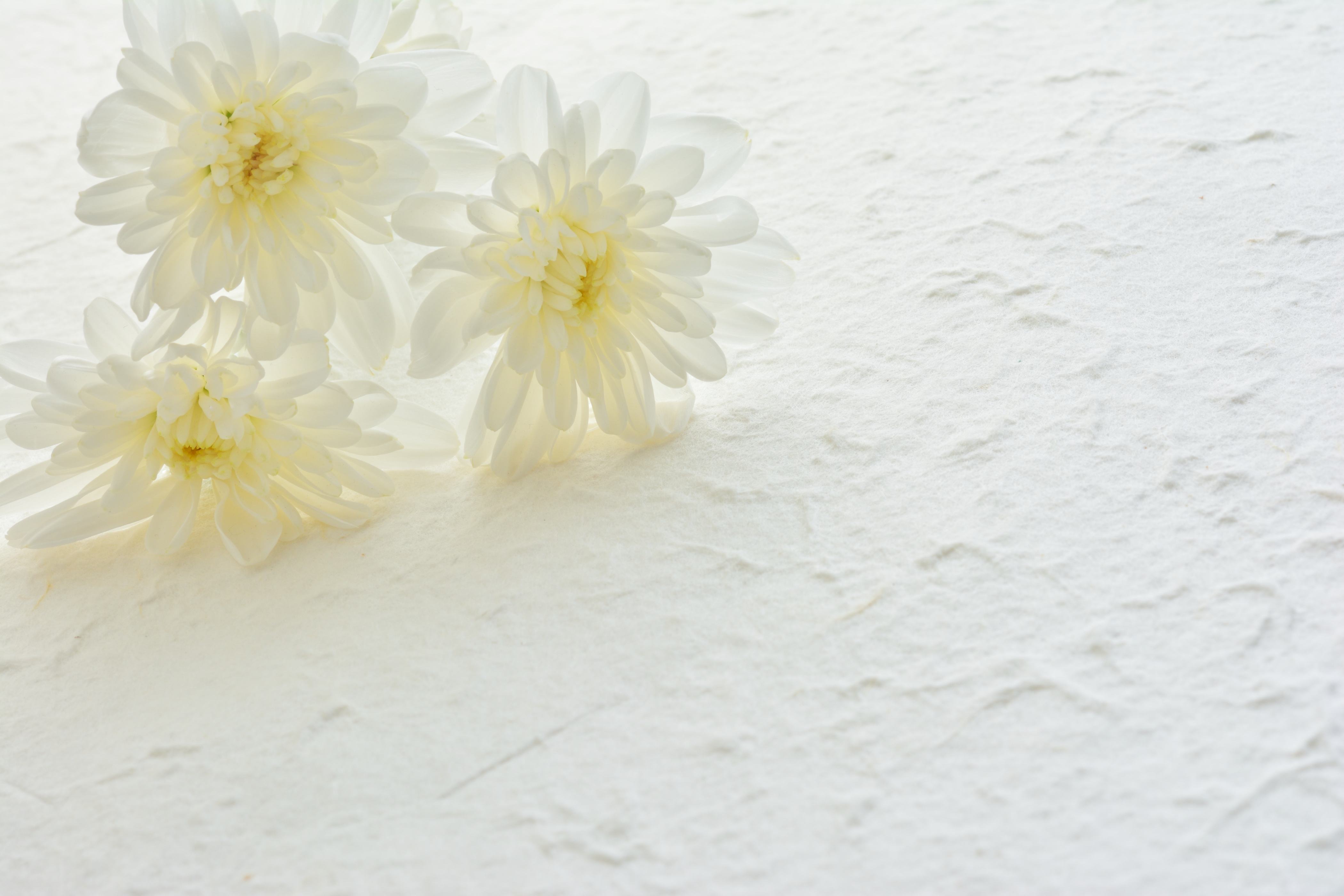 幣帛 へいはく- 和の暮らし