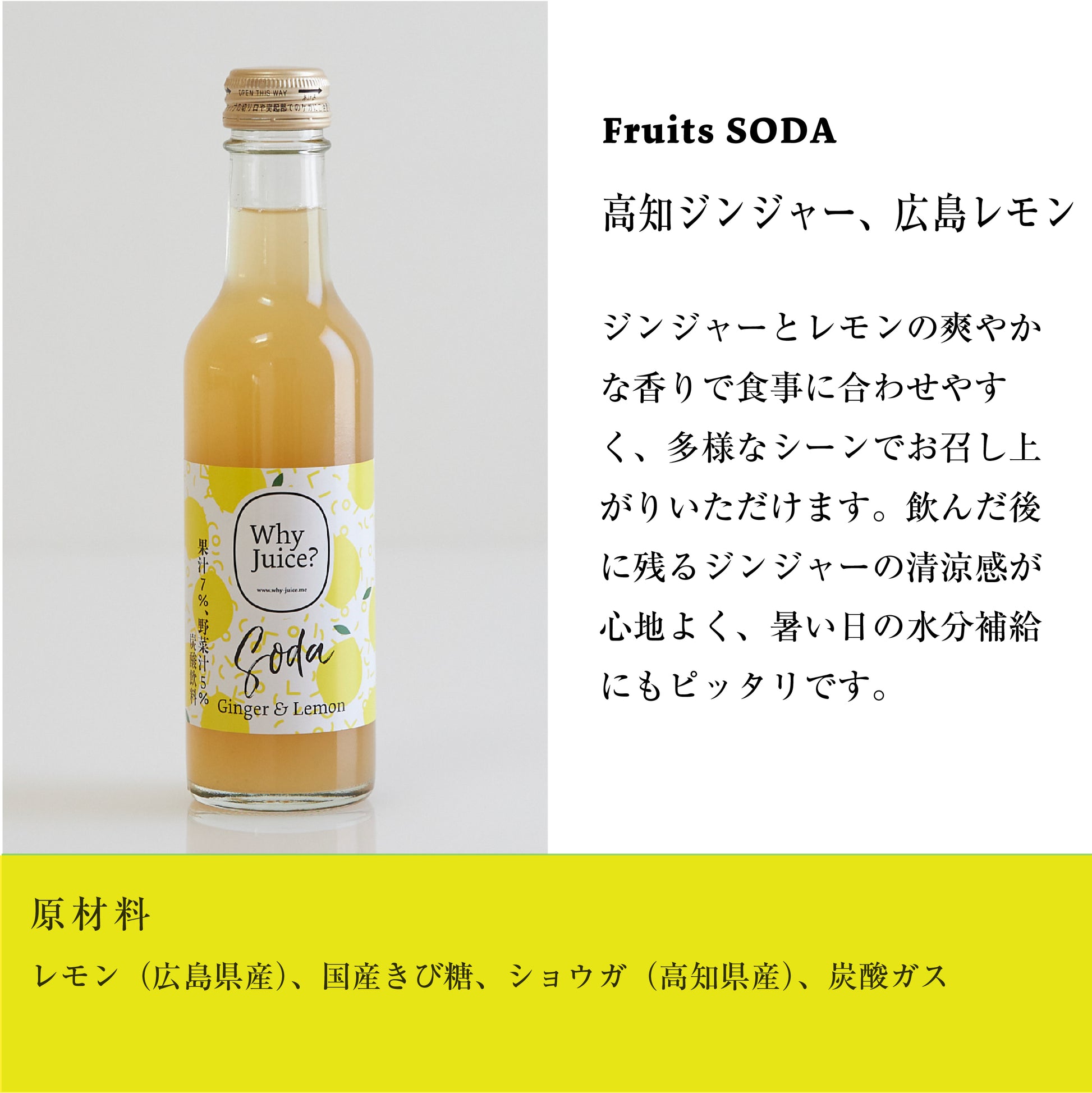 高知県産ゆず果汁使用】にんにく入り自家製ぽん酢 3本セット|JALふるさと納税|JALのマイルがたまるふるさと納税サイト